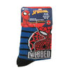 Lot De 3 Paires De Chaussettes Garcons - Marvel - Superman, Assorti, 2-6 année