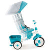 Little Tikes Perfect Fit 4-in-1 Trike - Teal