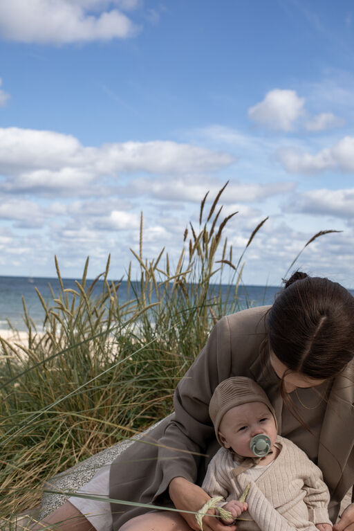 BIBS Delux Silicone Blush 2Pack 1Size