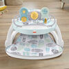 Fisher-Price Deluxe Sit-Me-Up Floor Seat - Pebble Stream, Baby Chair