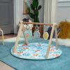 ITY by Ingenuity Sun Valley Wooden Toy Arch & Play Mat