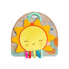 B. toys, Crinkly Sun, Sensory Baby Toy