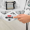 Fisher-Price See & Soothe Deluxe Bouncer