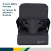 Safety 1st Feed 'N Fold Travel Feeding Booster