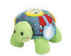 VTech® Touch & Discover Sensory Turtle™ - French Edition