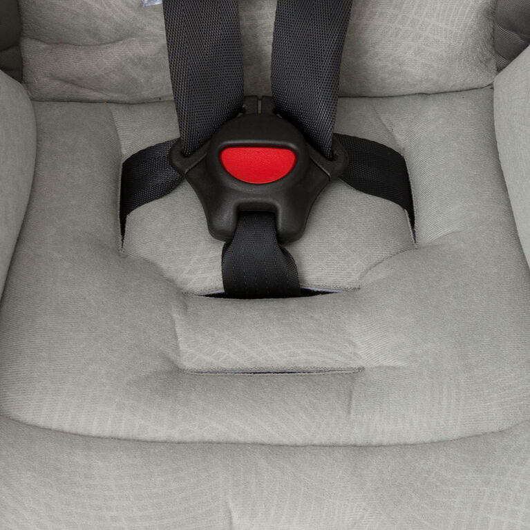 Evenflo Titan Convertible Car Seat, Paxton Babies R Us Canada
