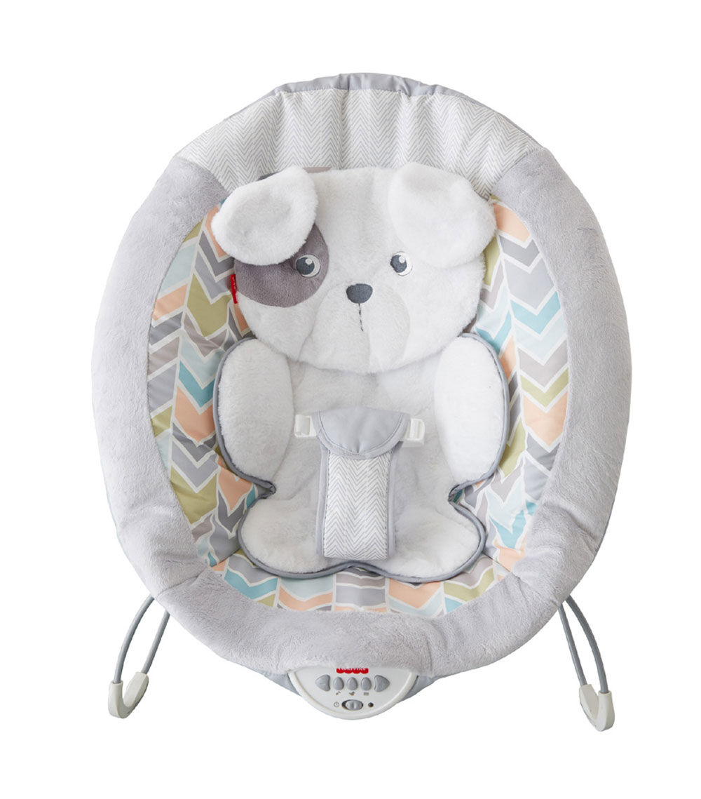 fisher price snuggle puppy bouncer