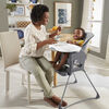 Fisher-Price Deluxe High Chair