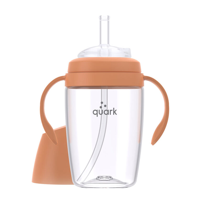 BuubiBottle Sip - Ionic Orange