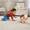VTech Baby Toutou, 1 2 3 Suis-moi - Édition française