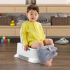 Fisher-Price Home Decor 4-in-1 Potty