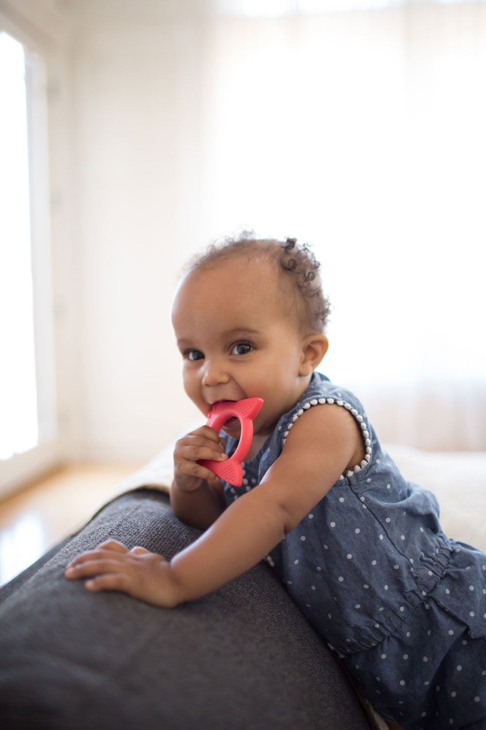 dr brown's flexees teether