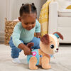 VTech Baby Toutou, 1 2 3 Suis-moi - Édition française