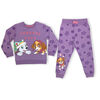 Paw Patrol 2 Piece Popover-Jogger Set - Purple