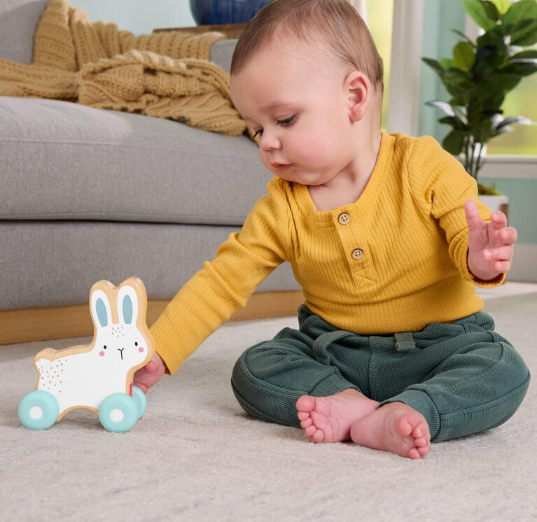 Fisher-Price Wooden Push-Along Bunny Fisher-Price Wooden Push-Along Bunny