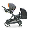 Joovy Qool Stroller - Black Melange