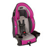 Evenflo Chase Plus 2In1 Booster Car Seat- Geneva