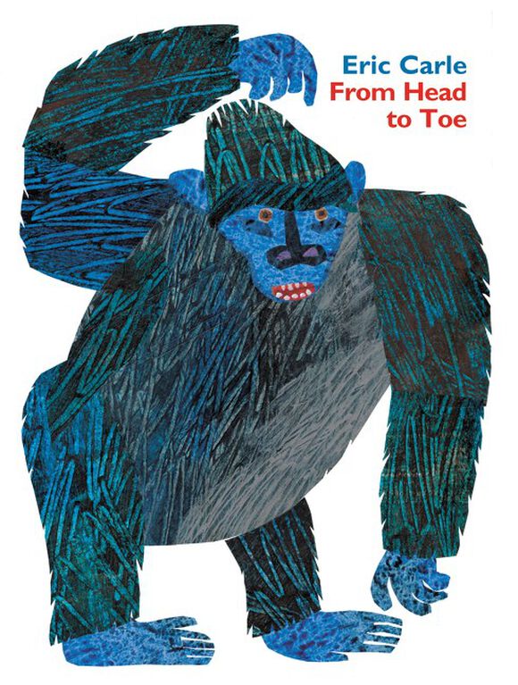 From Head To Toe Padded Board Book - English Edition