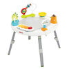 Skip Hop Explore & More Baby's View 3-Stage Activity Center