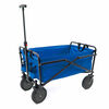 Seina Foldable Outdoor Wagon - Blue