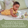 Tiny Love Tummy Time Mobile - Boho Collection