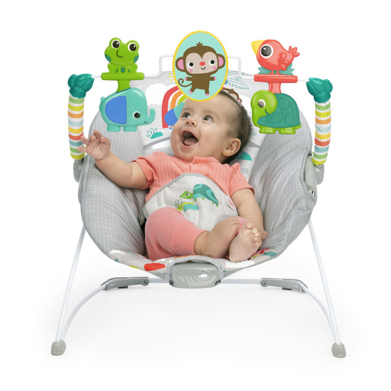 Playful Paradise Vibrating Bouncer