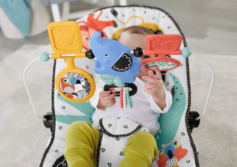 Fisher-Price Baby's Bouncer - Lion Around Soothing Infant Seat | Babies R  Us Canada