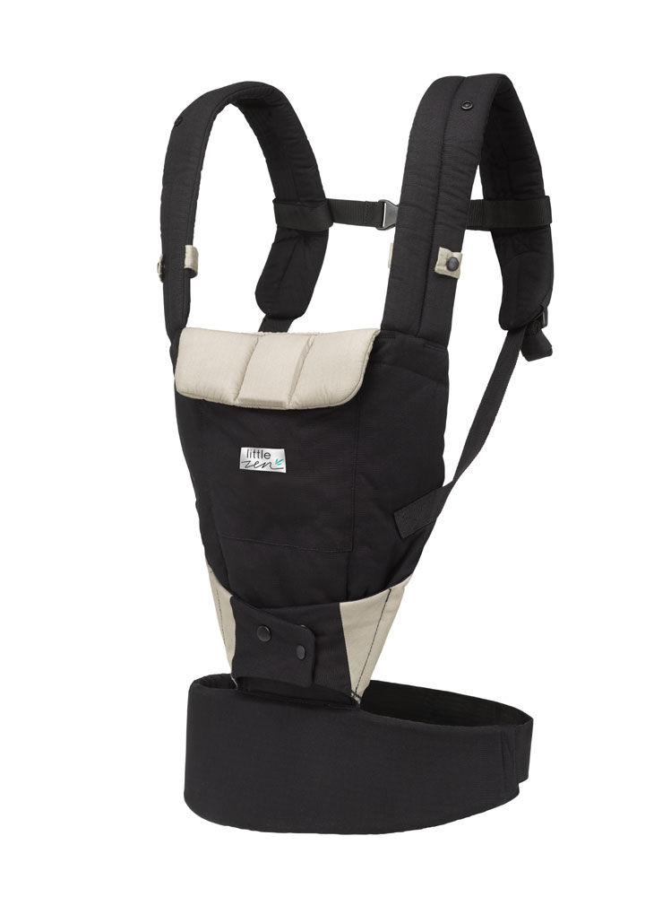 4 in 1 convertible carrier
