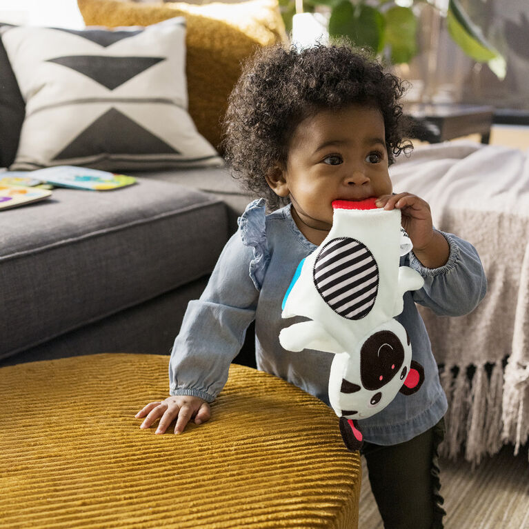 Zen The Zebra Sensory Plush Teether