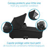 Maxi-Cosi Oria Carry Cot - Essential Black