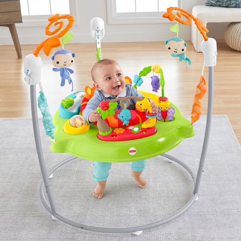 Fisher Price Tiger Time Jumperoo Babies R Us Canada