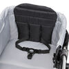 Expedition 2-in-1 Stroller Wagon