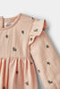 Gingham Ruffle Dress Light Pink 3-6M