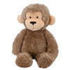 Carter's Snuggle Me Monkey 14"