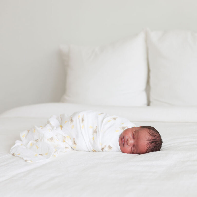 Lulujo - 2PK Langes en mousseline - Ferme + Poule e