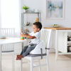 Ingenuity Baby Base 2-in-1 Seat - Slate