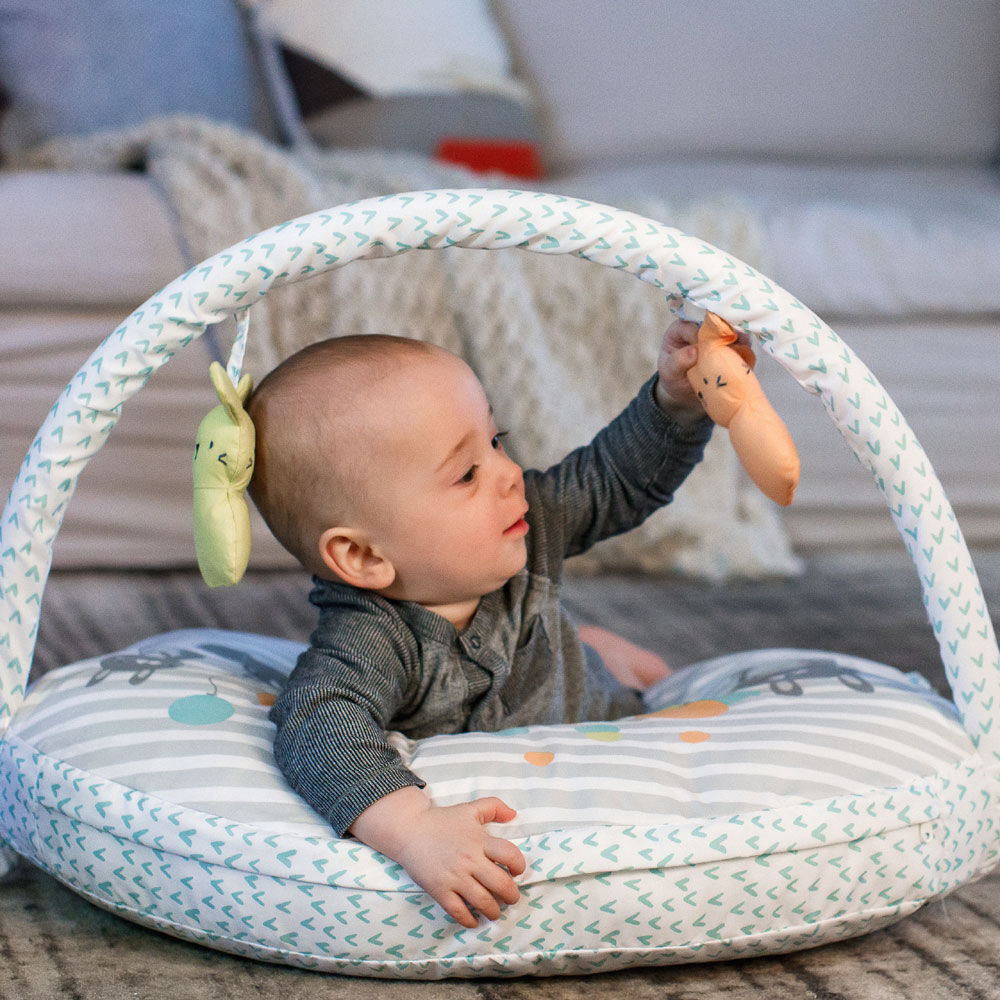 Plenti Nursing Pillow Toy Bar Hop Art Babies R Us Canada