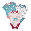 Lily & Jack Organic 3 Piece Bodysuit: Birdhouse 6-12M