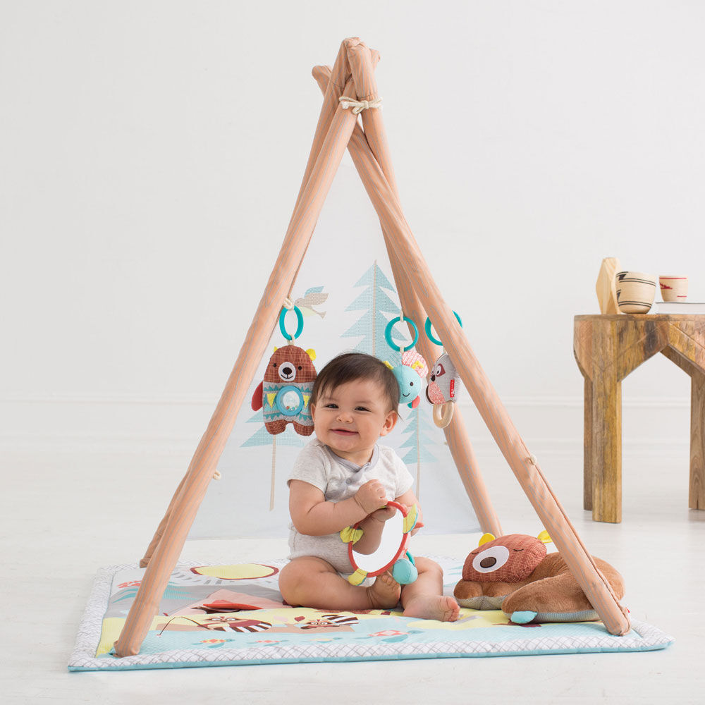 Skip Hop Camping Cubs Activity Gym Babies R Us Canada