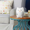 Skip Hop Moonlight & Melodies Nightlight Soother - Owl