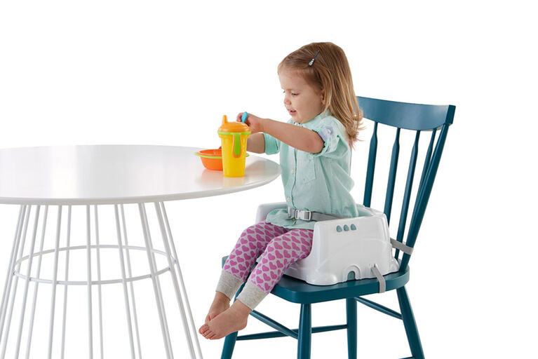 Fisher Price Healthy Care Deluxe Booster Seat R Exclusive