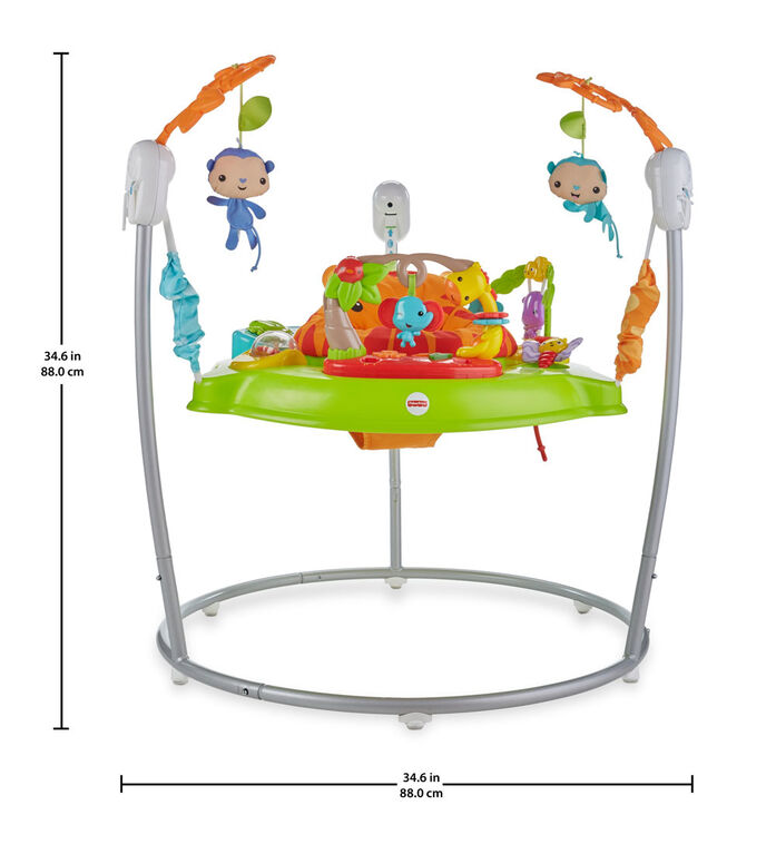 Fisher-Price Tiger Time Jumperoo - English Edition