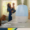 Safety 1st Everyday Cool Mist Humidifier