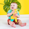 Bright Starts - Snuggle & Teether - Giraffe
