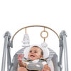 Ingenuity Boutique Collection Swing 'n Go Portable Swing - Bella Teddy