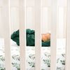 Fern Premium Crib Sheet