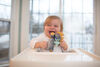 Dr. Brown'S Triceratops Lovey Pacifier & Teether Holder