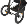 Schwinn Interval Jogger Travel System - Oriole