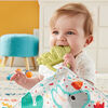 Fisher-Price - Cactus à mordiller et à câliner