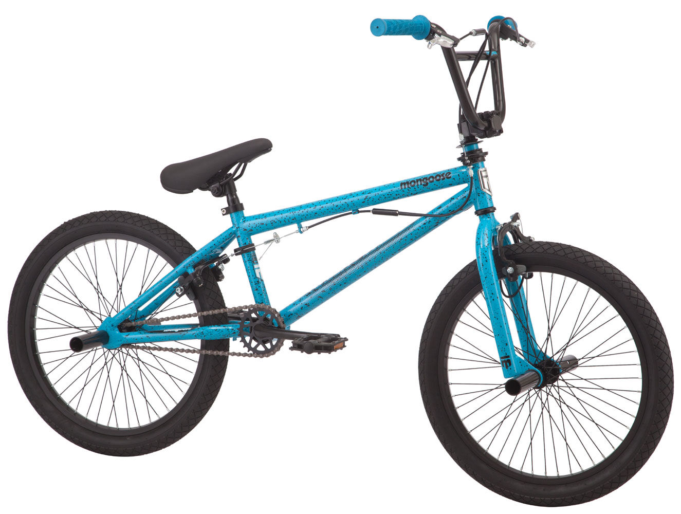 blue mongoose